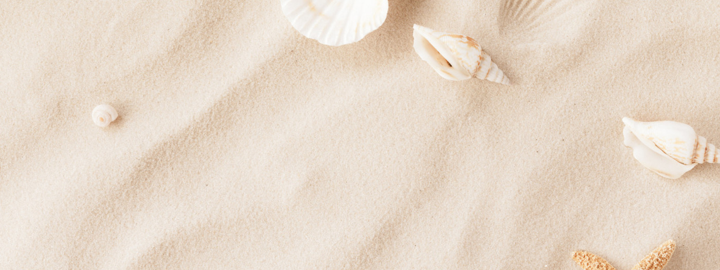 Top view of a sandy beach with exotic seashells and starfish as natural textured background for aesthetic summer design