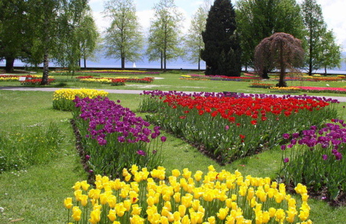 BALADE DE PÂQUES ET FÊTE DES TULIPES À MORGES