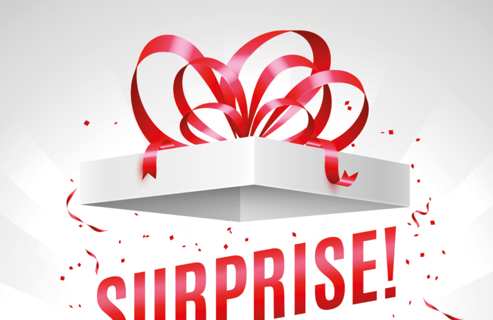 VOYAGE SURPRISE