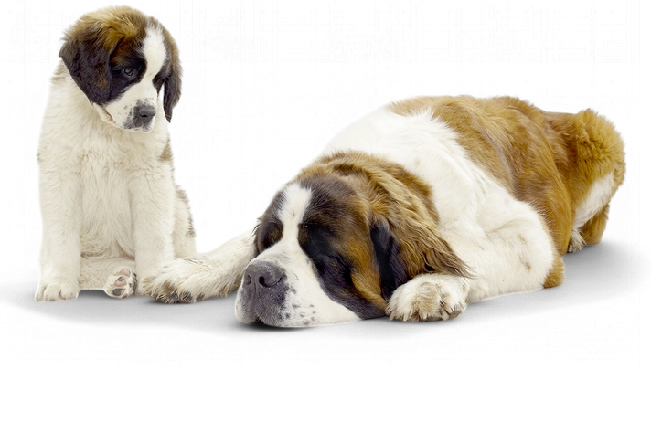 BARRYLAND FAIT PEAU NEUVE À MARTIGNY